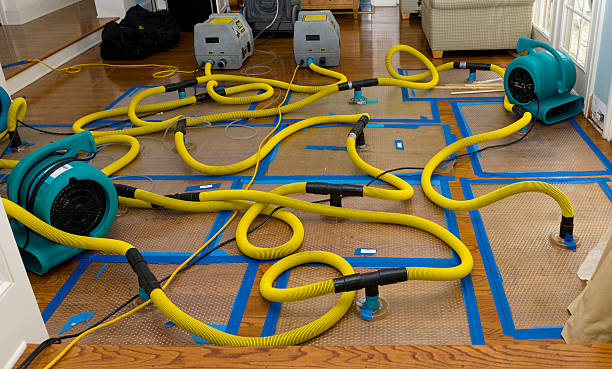 Professional Storm Water Damage Restoration technician working in Palisade, CO